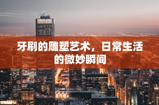 牙刷的雕塑艺术，日常生活的微妙瞬间