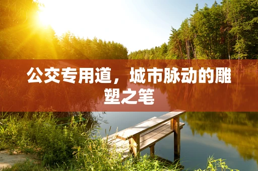 公交专用道，城市脉动的雕塑之笔