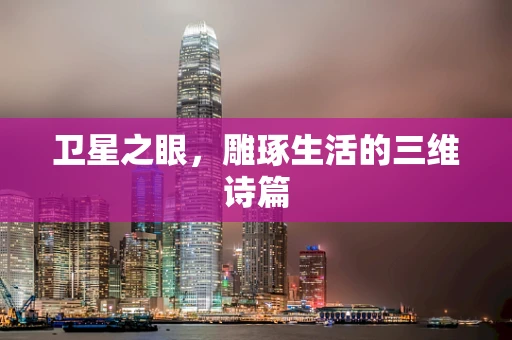 卫星之眼，雕琢生活的三维诗篇