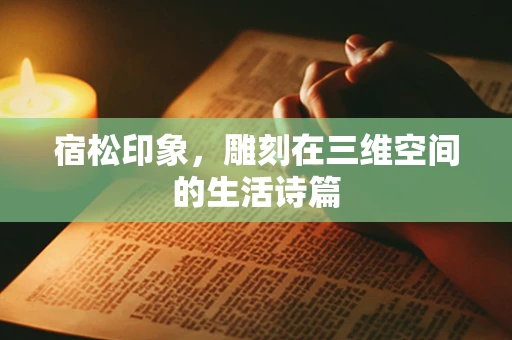 宿松印象，雕刻在三维空间的生活诗篇