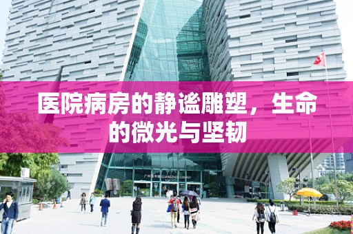 医院病房的静谧雕塑，生命的微光与坚韧
