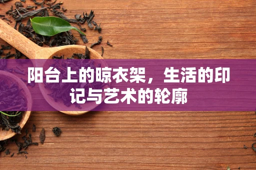 阳台上的晾衣架，生活的印记与艺术的轮廓