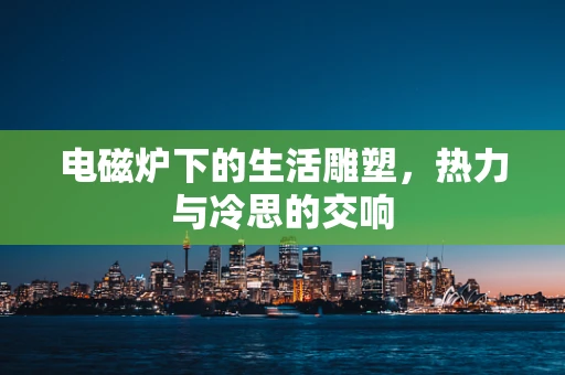 电磁炉下的生活雕塑，热力与冷思的交响
