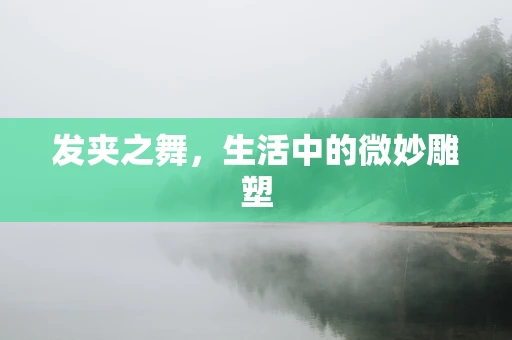 发夹之舞，生活中的微妙雕塑