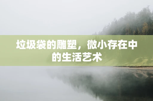 垃圾袋的雕塑，微小存在中的生活艺术