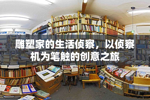 雕塑家的生活侦察，以侦察机为笔触的创意之旅