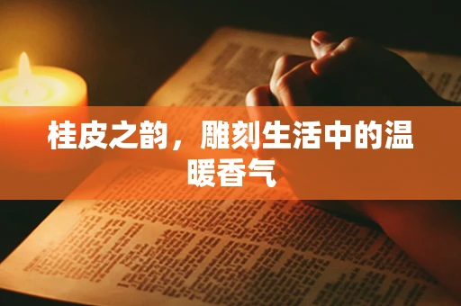 桂皮之韵，雕刻生活中的温暖香气