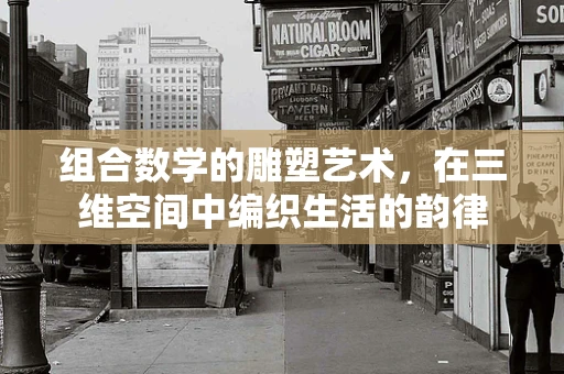 组合数学的雕塑艺术，在三维空间中编织生活的韵律