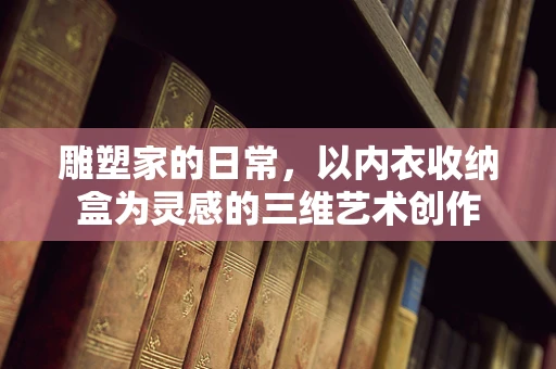雕塑家的日常，以内衣收纳盒为灵感的三维艺术创作