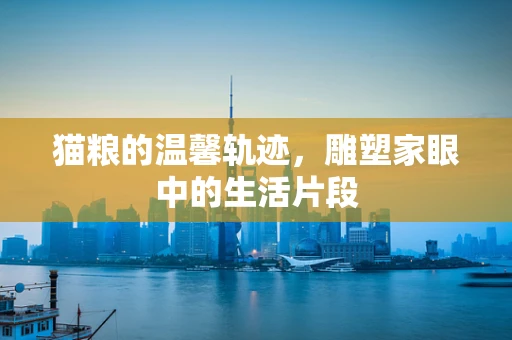 猫粮的温馨轨迹，雕塑家眼中的生活片段