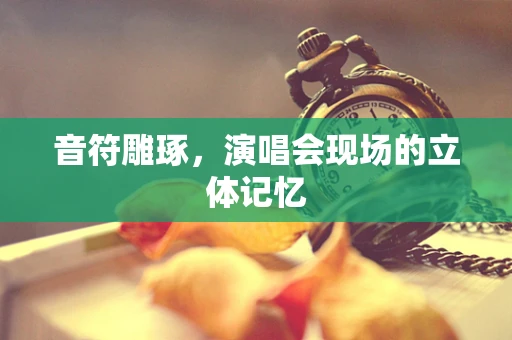 音符雕琢，演唱会现场的立体记忆