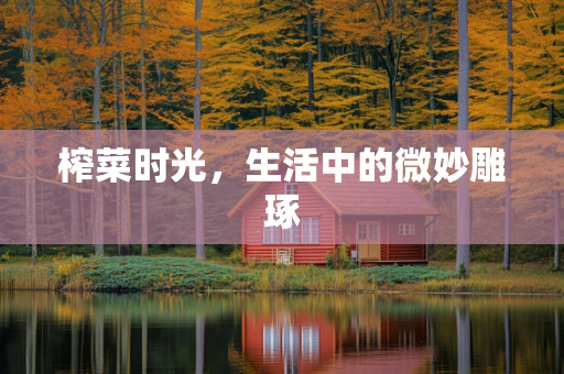榨菜时光，生活中的微妙雕琢