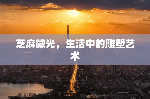 芝麻微光，生活中的雕塑艺术