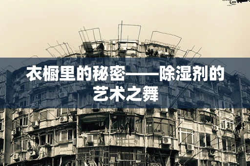 衣橱里的秘密——除湿剂的艺术之舞