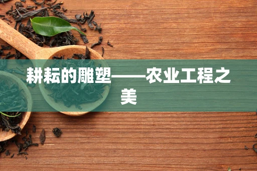 耕耘的雕塑——农业工程之美