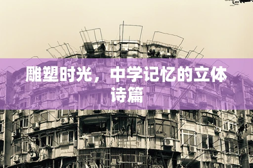 雕塑时光，中学记忆的立体诗篇