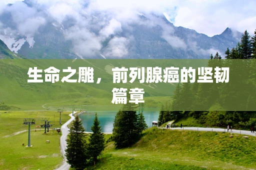 生命之雕，前列腺癌的坚韧篇章