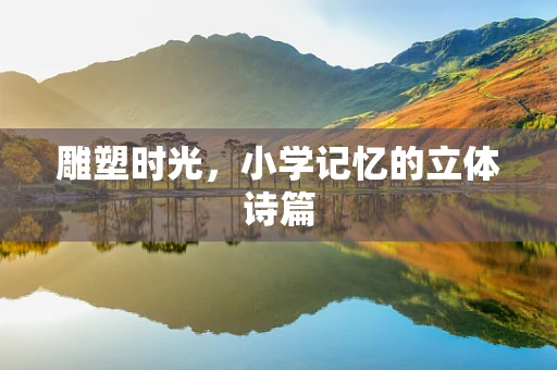 雕塑时光，小学记忆的立体诗篇