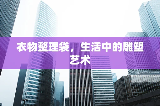 衣物整理袋，生活中的雕塑艺术