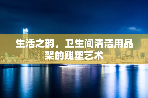 生活之韵，卫生间清洁用品架的雕塑艺术