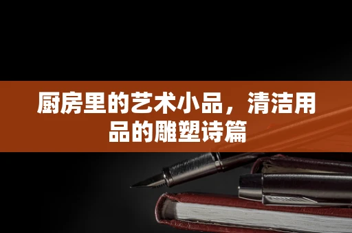 厨房里的艺术小品，清洁用品的雕塑诗篇