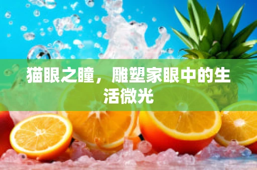 猫眼之瞳，雕塑家眼中的生活微光
