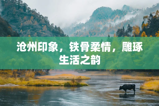沧州印象，铁骨柔情，雕琢生活之韵