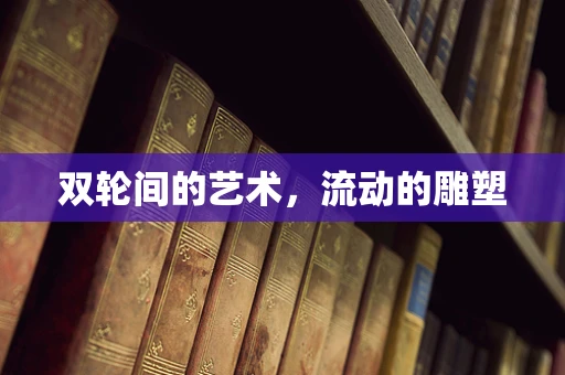 双轮间的艺术，流动的雕塑