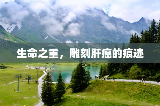 生命之重，雕刻肝癌的痕迹