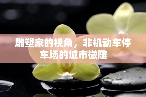 雕塑家的视角，非机动车停车场的城市微雕