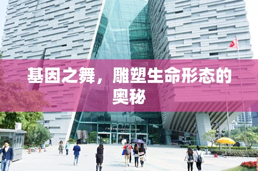 基因之舞，雕塑生命形态的奥秘