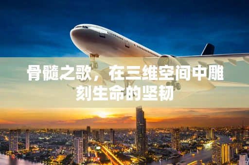 骨髓之歌，在三维空间中雕刻生命的坚韧