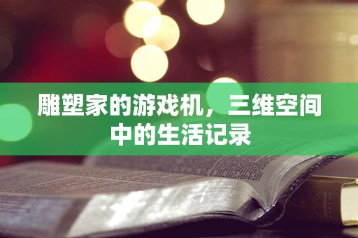 雕塑家的游戏机，三维空间中的生活记录