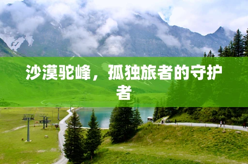 沙漠驼峰，孤独旅者的守护者