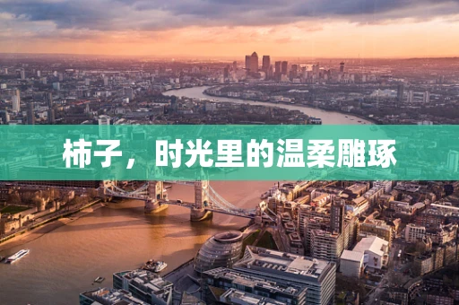柿子，时光里的温柔雕琢
