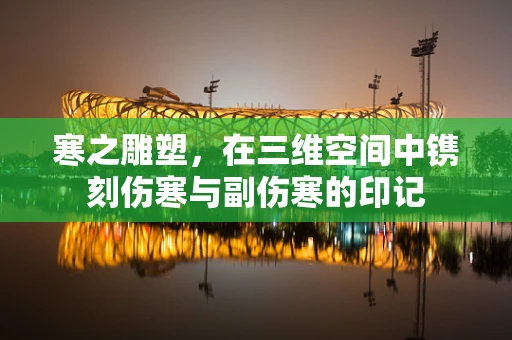 寒之雕塑，在三维空间中镌刻伤寒与副伤寒的印记