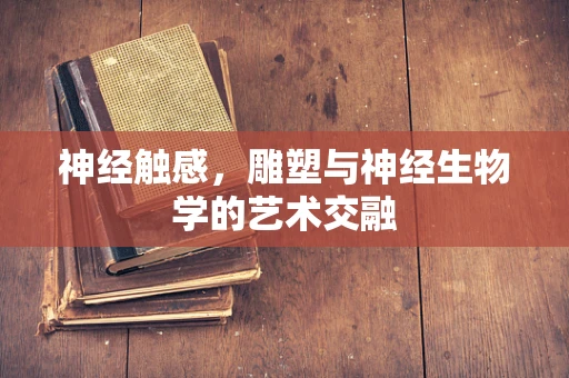 神经触感，雕塑与神经生物学的艺术交融