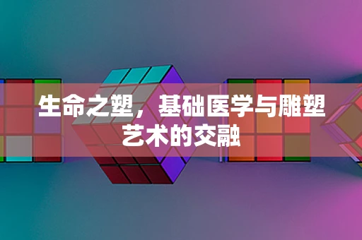 生命之塑，基础医学与雕塑艺术的交融