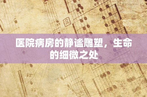 医院病房的静谧雕塑，生命的细微之处
