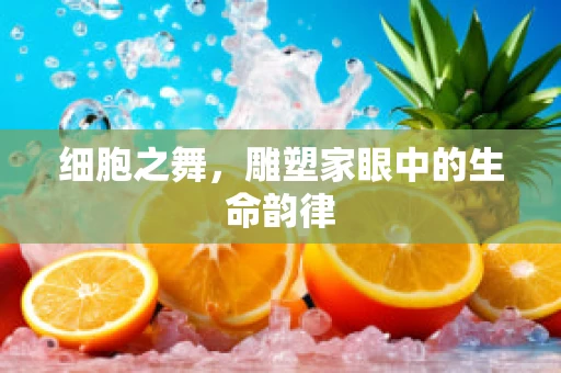 细胞之舞，雕塑家眼中的生命韵律