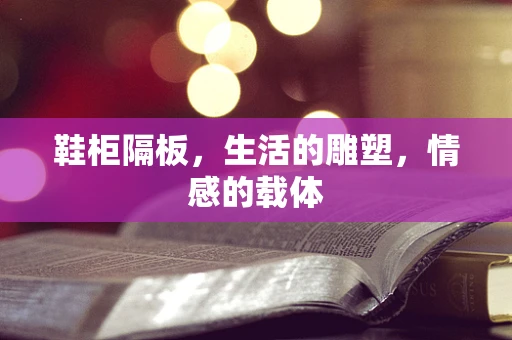 鞋柜隔板，生活的雕塑，情感的载体