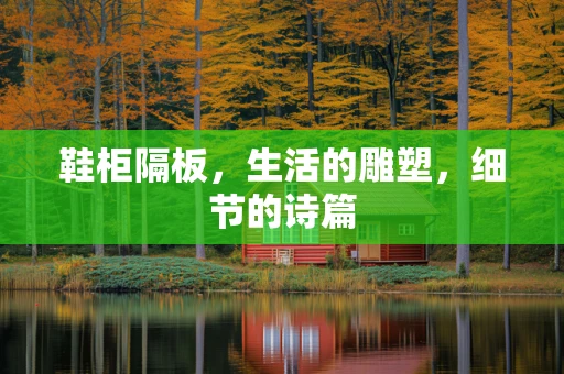 鞋柜隔板，生活的雕塑，细节的诗篇