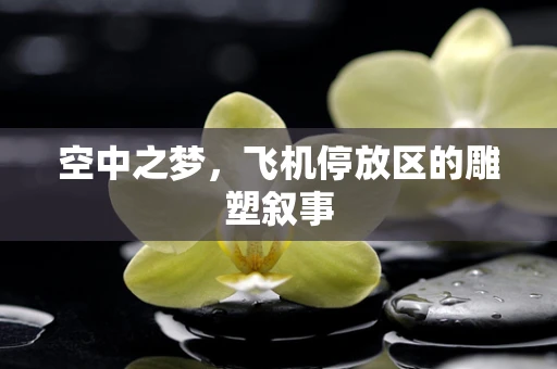 空中之梦，飞机停放区的雕塑叙事