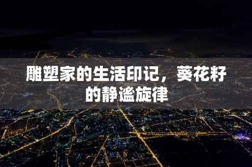 雕塑家的生活印记，葵花籽的静谧旋律