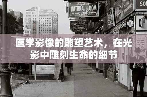 医学影像的雕塑艺术，在光影中雕刻生命的细节