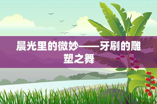 晨光里的微妙——牙刷的雕塑之舞