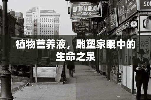 植物营养液，雕塑家眼中的生命之泉