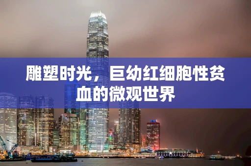 雕塑时光，巨幼红细胞性贫血的微观世界
