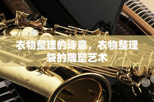 衣物整理的诗意，衣物整理袋的雕塑艺术