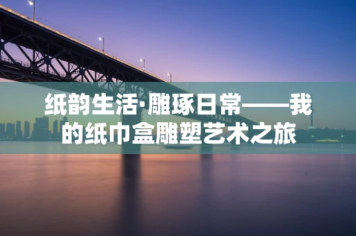 纸韵生活·雕琢日常——我的纸巾盒雕塑艺术之旅